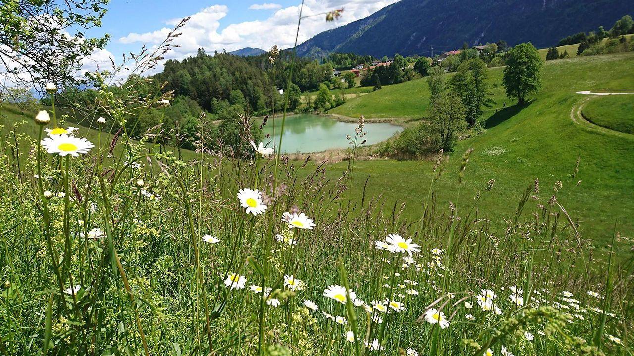 Ganze Ferienwohnung, Ferienwohnung für 5 Personen (75 m²) in Kramsach in Kramsach, Kufstein Umgebung