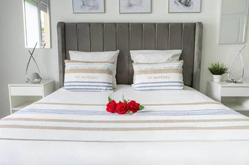 Gîte pour 2 personnes, avec jardin ainsi que jacuzzi et terrasse à Savigny-le-Temple
