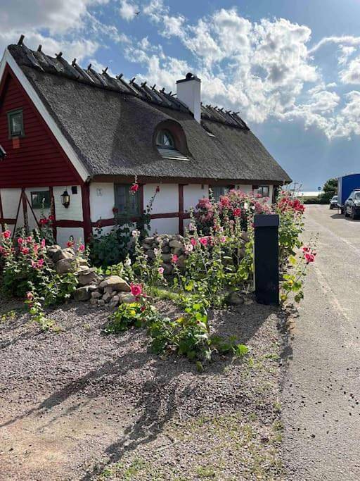 Ferienhaus für 4 Personen, mit Ausblick und Garten in Helsingborg - 3