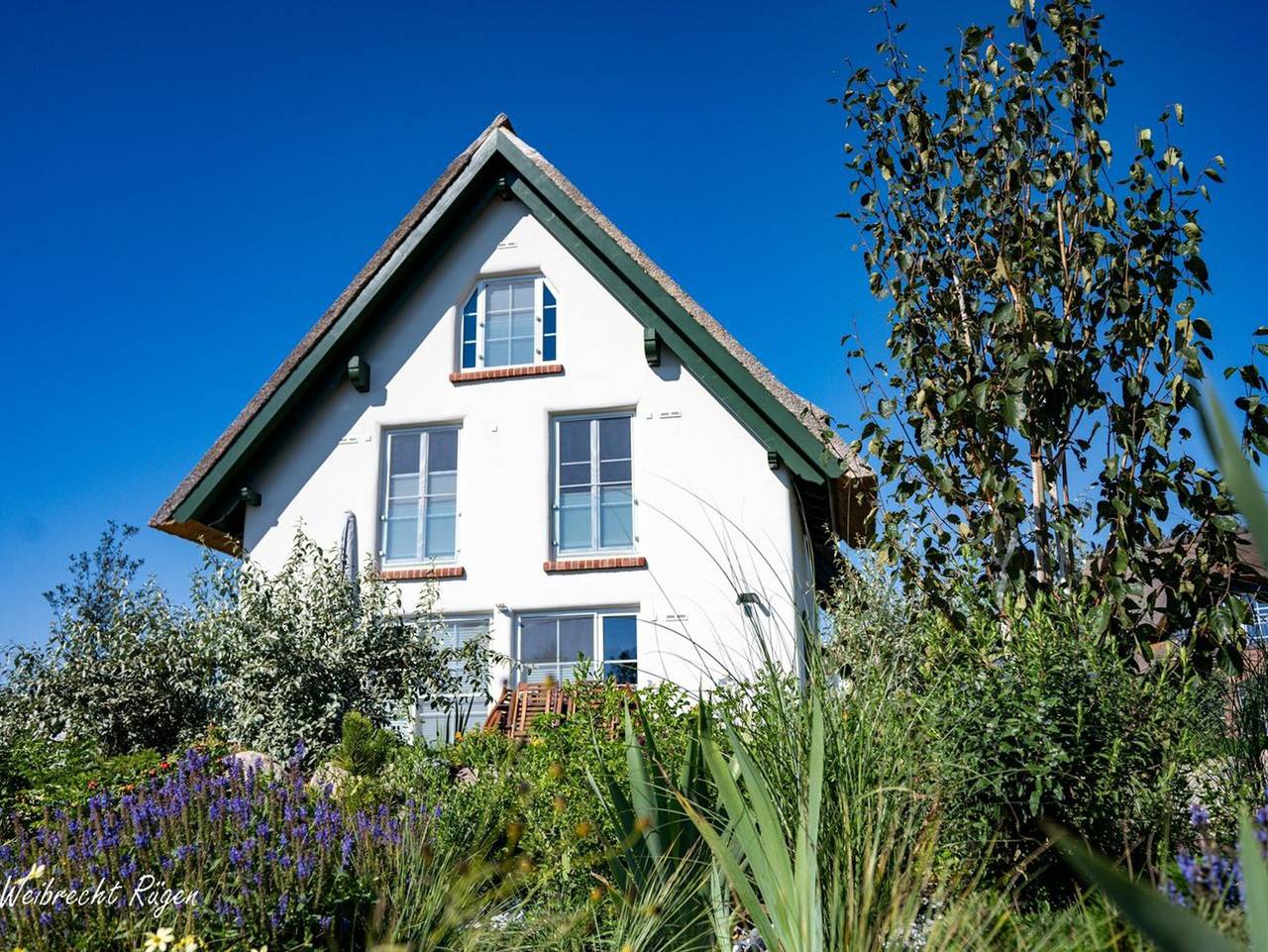 Ferienhaus Puddewohl - Ferienhaus Puddewohl – Wohngesund. Natürlich. Besonders. in Puddemin, Poseritz