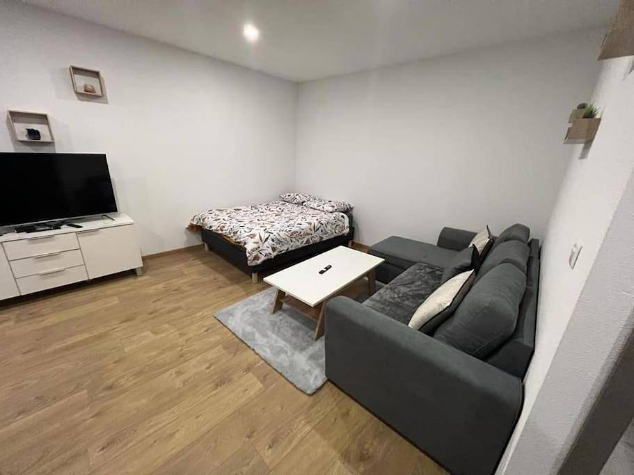 Appartement entier, Joli Studio in Delle, Massif du Jura