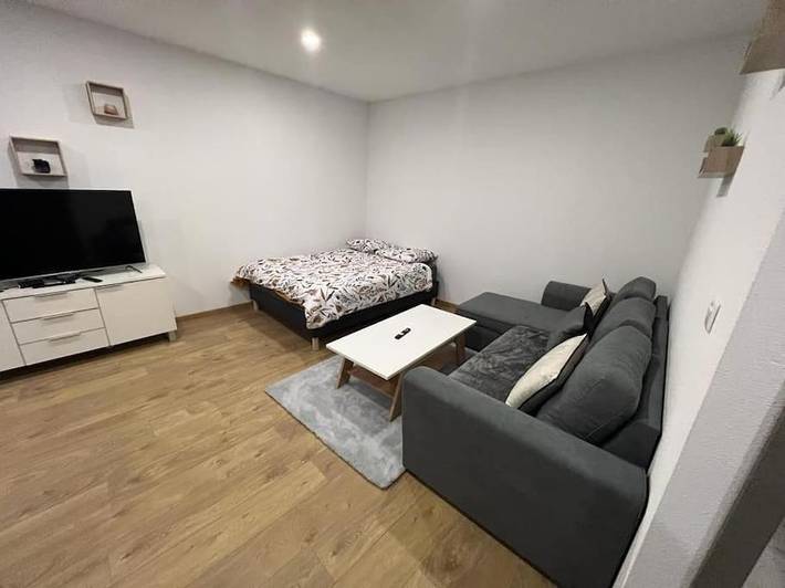 Appartement de vacances pour 4 personnes, animaux acceptés