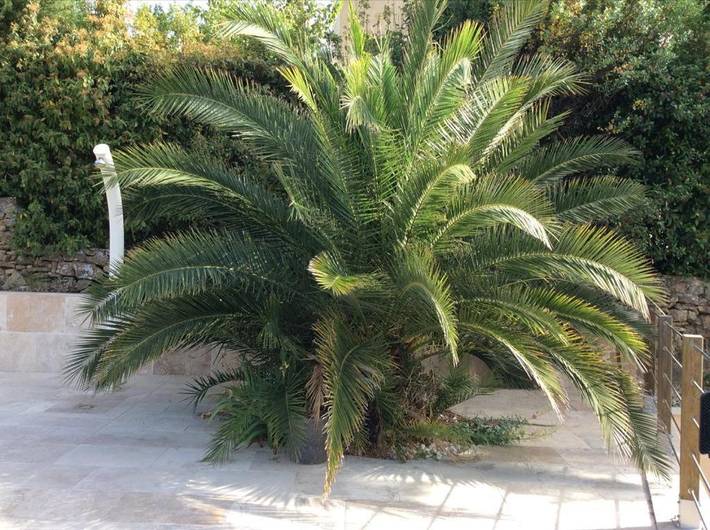Villa pour 8 personnes, avec jardin ainsi que vue et piscine à Le Castellet