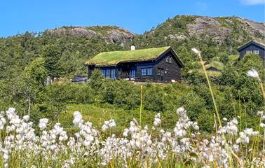 Vakantiehuis voor 10 Personen in Suldal, Rogaland, Afbeelding 1