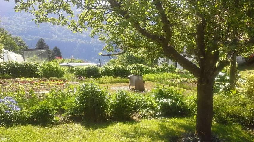Ferienhaus für 5 Personen, mit Balkon am Millstätter See - 3
