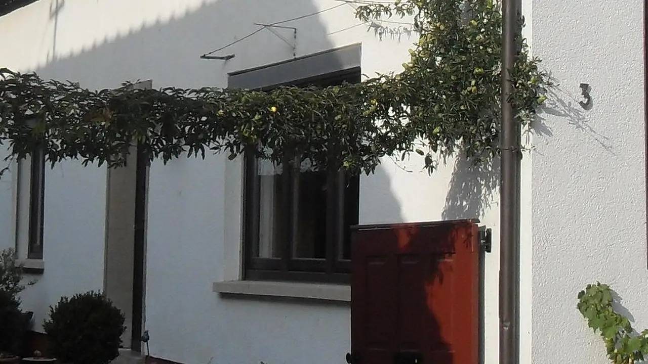 Ganze Ferienwohnung, Ferienwohnung für 4 Personen (58 m²) in Neustadt in Neustadt an der Weinstraße, Pfälzer Rheinebene