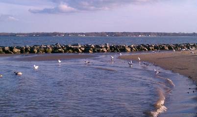 Cottage for 2 Guests in Colonial Beach, Virginia, Picture 3