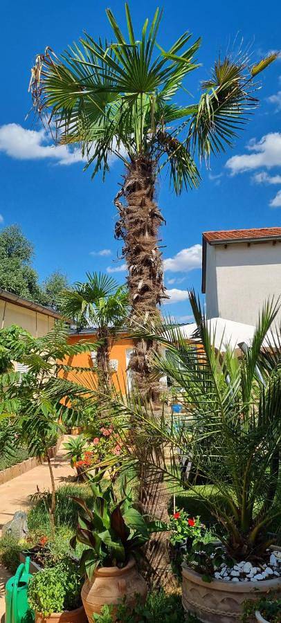 Ganze Wohnung, Grahl´s Ferienwohnung in Markranstädt, Leipzig und Umgebung