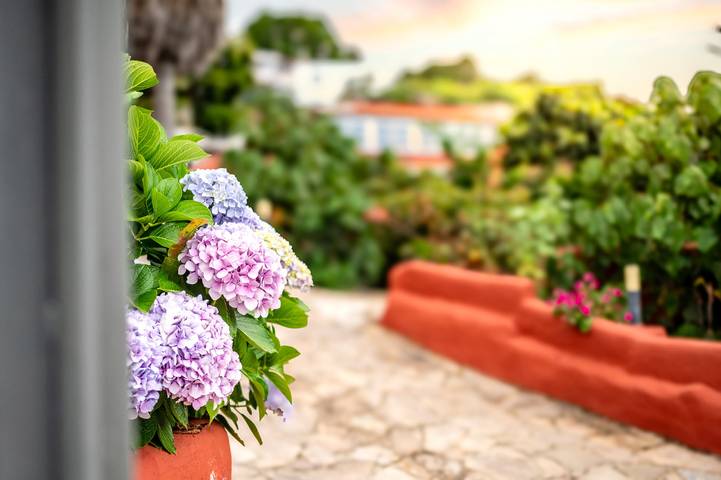 Casa rural para 5 personas, con jacuzzi además de terraza y jardín en Icod de los Vinos - 4