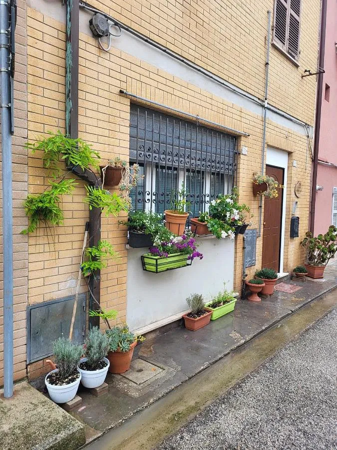 Maison d’hôte pour 1 personnes - 1