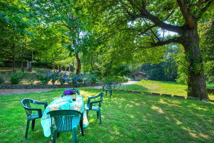 Villa für 6 Personen, kinderfreundlich in Lago Maggiore (Lombardei) - 3