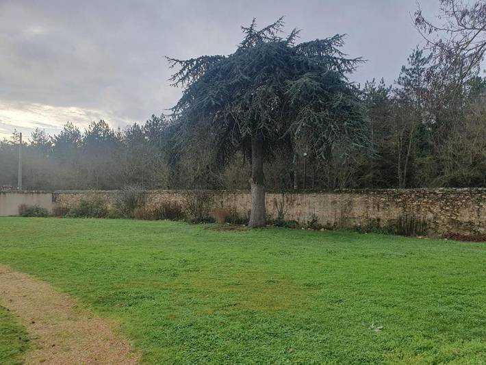 Hôtel pour 2 personnes, avec sauna et piscine ainsi que jacuzzi et jardin, animaux acceptés à Le Lude - 3