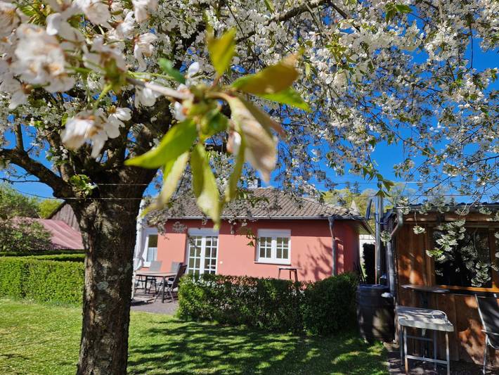 Ferienhaus für 4 Personen, mit Terrasse und Garten in Walow