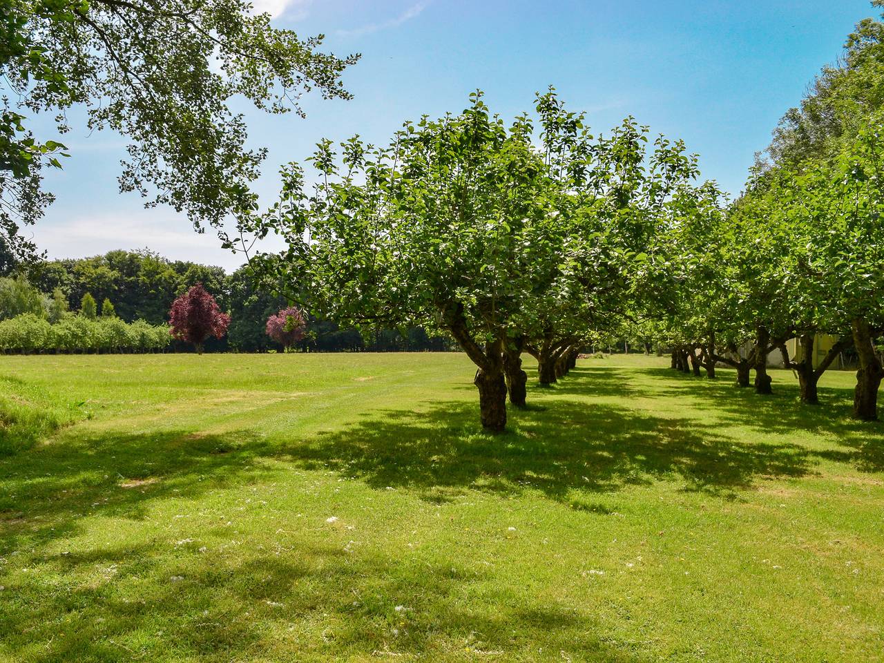 Deer Cottage 2 Uk39332 in Biddenden, Ashford region