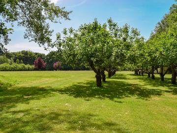 Cottage voor 4 Personen in Biddenden, Weald, Afbeelding 1
