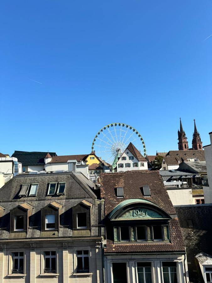 Geheel appartement, Exclusive Rooftop Duplex Penthouse - 200sqm - 280 Panoramic Views - Downtown in Basel 1 Rüdengasse, Bazel