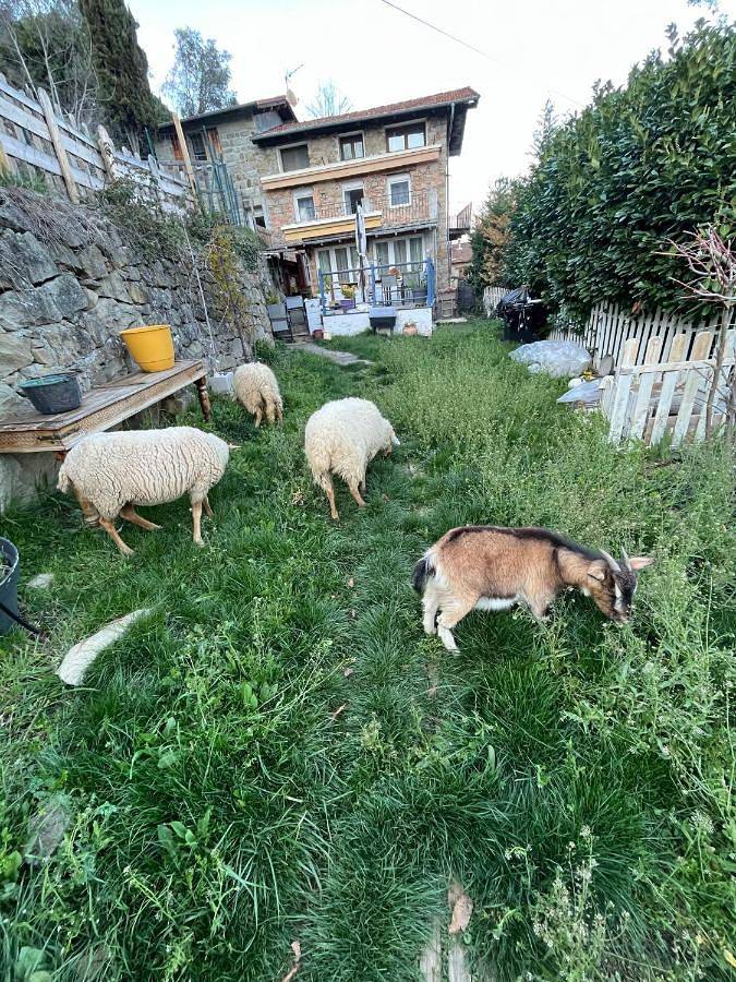 Gîte pour 5 personnes, avec Terrasse ainsi que Jardin et Vue dans Vallée des Merveilles - 3
