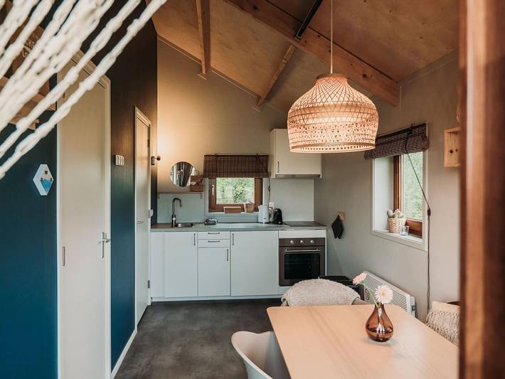 Wellness Lodge in Dutch Meadows with Hot Tub in Ruinerwold, Drenthe