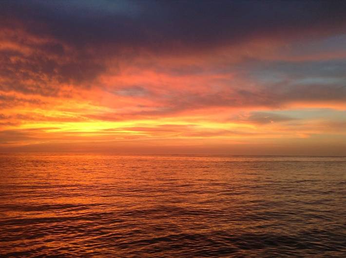 Ferienhaus für 8 Personen, mit Garten in Sarasota
