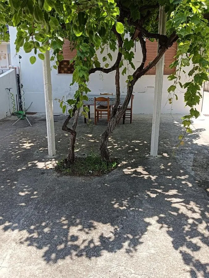 Maison de vacances pour 5 personnes, avec jardin et vue, adapté aux familles - 1
