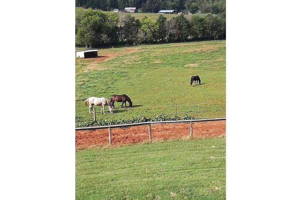 Sweetwater Stables & Farm in Monroe County (TN)
