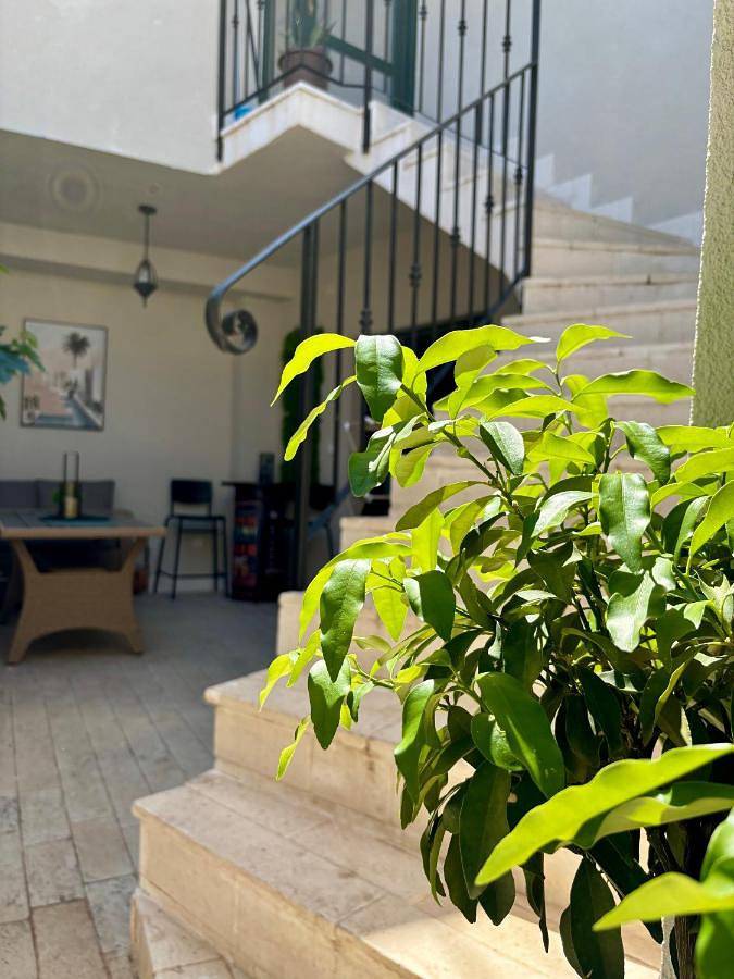 Villa pour 5 personnes, avec jacuzzi ainsi que balcon et sauna dans Betina - 3