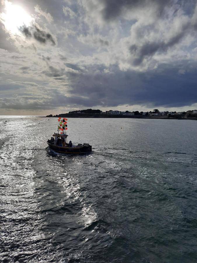Gîte pour 4 personnes, avec vue et jardin, animaux acceptés dans Plage du Boisvinet - 3