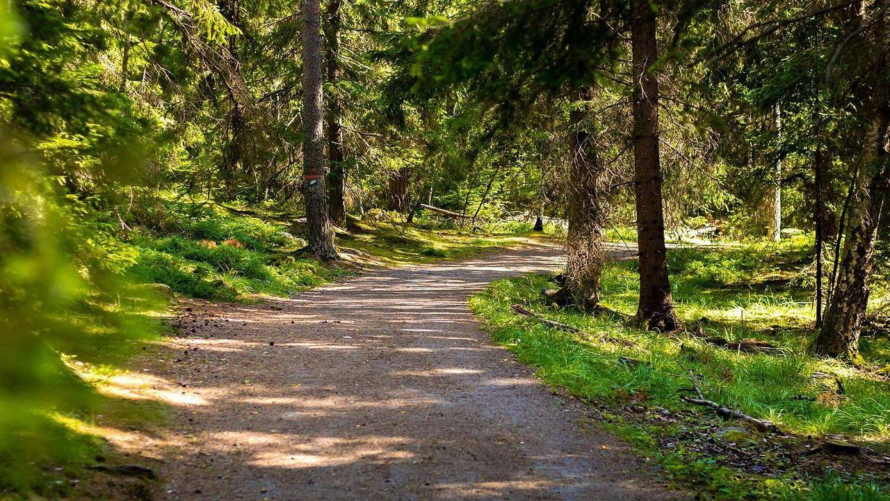 Ferienhaus für 6 Personen (85 m²) in Nain in Hallsberg, Örebro und Umgebung