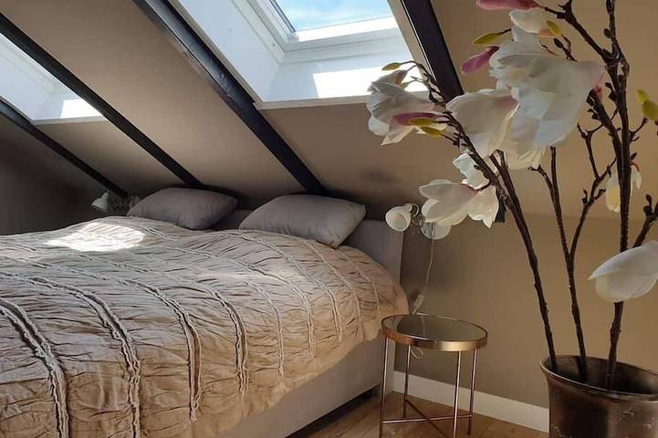 Ferienhaus für 16 Personen, mit Sauna in Clausthal-Zellerfeld - 2