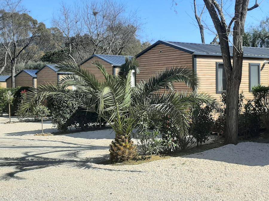 Camping Lou Pantai - Mobile home 4 persons - Lodge Grand Confort Pmr in Le Pradet, Toulon region
