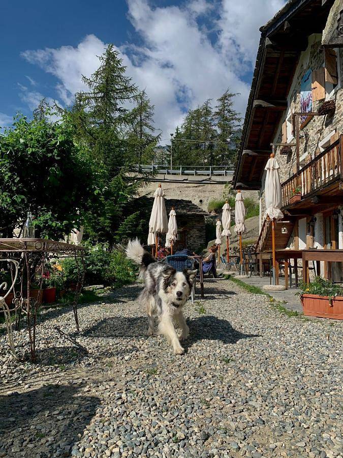 Hôtel pour 3 personnes, avec Terrasse et Jardin ainsi que Sauna et Vue sur le lac à Ceresole Reale - 4