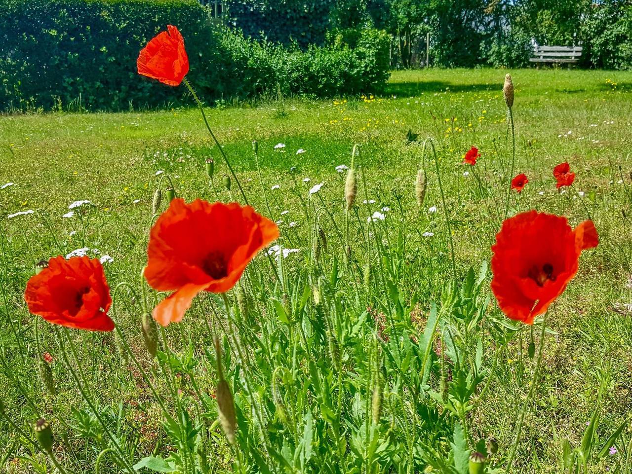 Ganze Ferienwohnung, Ferienwohnungen Klein Kapelle - Ferienwohnung 3 in Gingst, Rügen