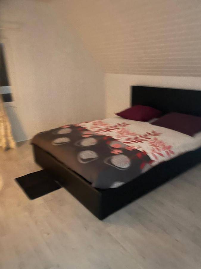 Location de vacances pour 12 personnes, avec jardin et vue à Plaisir (Yvelines) - 2