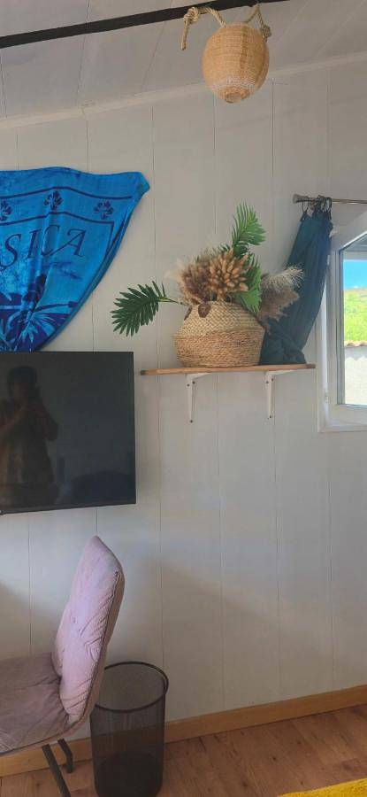 Chambre d’hôte pour 2 personnes, avec vue ainsi que jardin et piscine, animaux acceptés dans Haute-Corse - 3