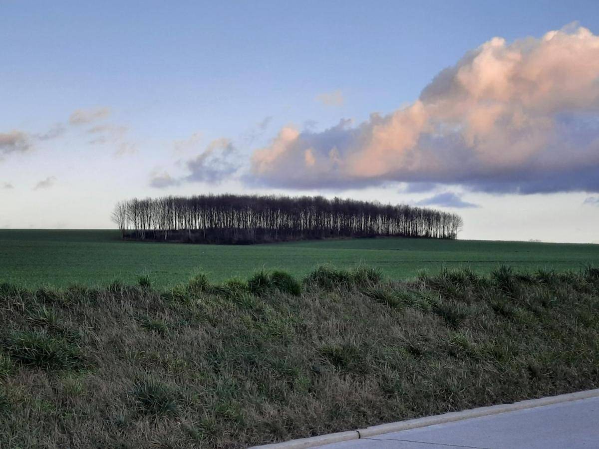 Appartement entier, Met een knipoog naar de fruitstreek! in Landen, Brabant flamand