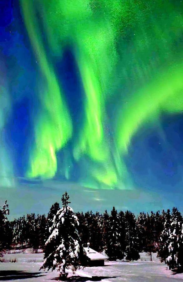 Northern Lights Lapland Villa in Lappland