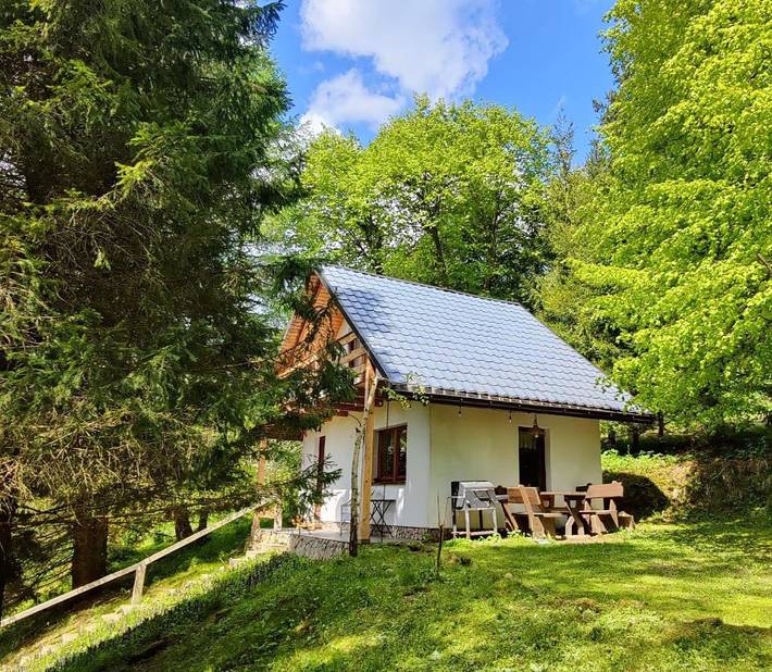 Wiejski domek dla 4 osób, z Balkon i Taras oraz Ogród i Widok w Bieszczady