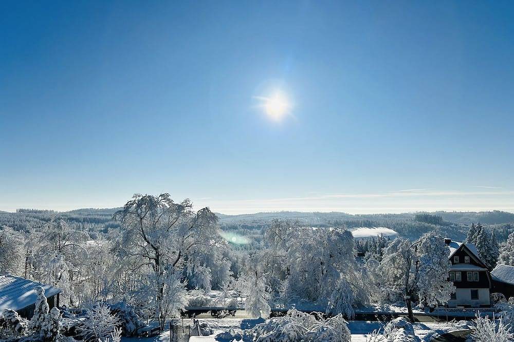 Ganze Wohnung, Gemütliche und liebevoll eingerichtete Fewo Harzerfernblick in Hohegeiß, Harzvorland