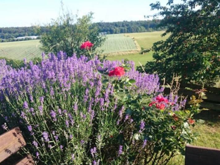 Ferienwohnung für 5 Personen, mit Garten, kinderfreundlich in Saar-Nahe-Bergland - 4