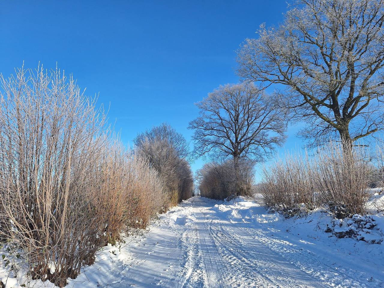 Ganze Ferienwohnung, Schöne Auszeit Ferienwohnung - Ferienwohnung in Wiemersdorf, Kreis Segeberg