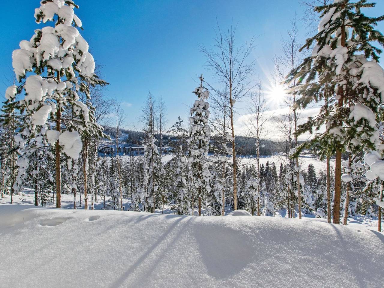 Alppikylä 13b paritalo in Ukkohalla, Kainuu