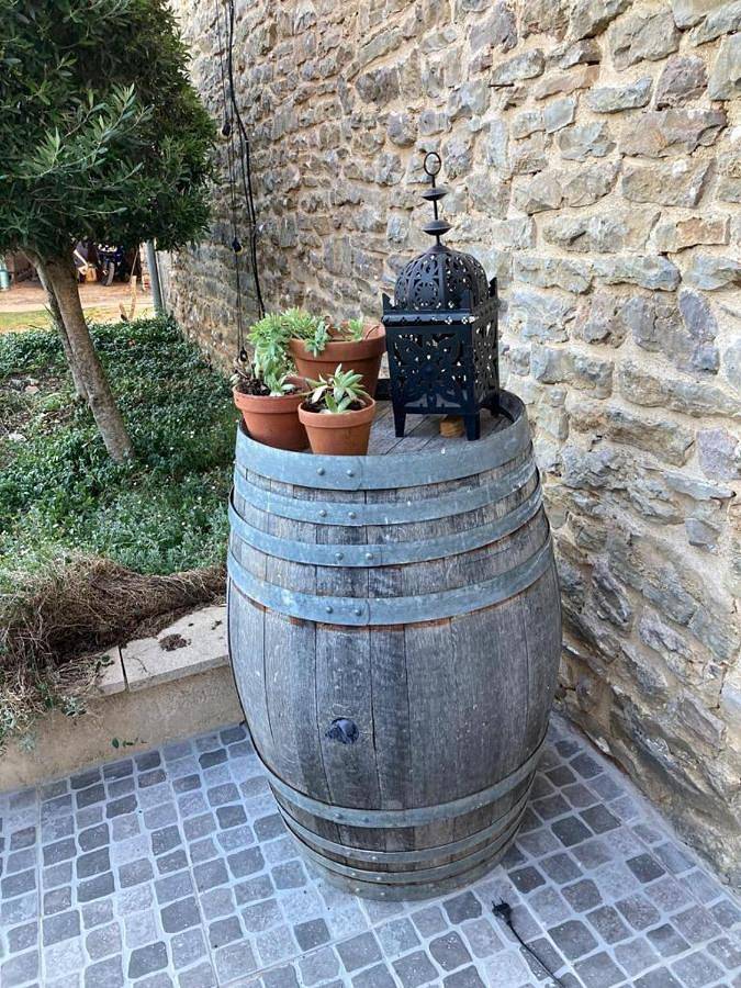 Location de vacances pour 2 personnes, avec terrasse et jardin ainsi que piscine et vue à Salvagnac-Cajarc - 3
