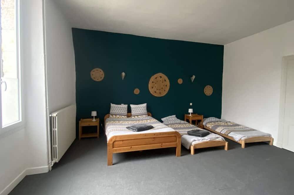 Town house 10 persons in Casteljaloux, Nérac region