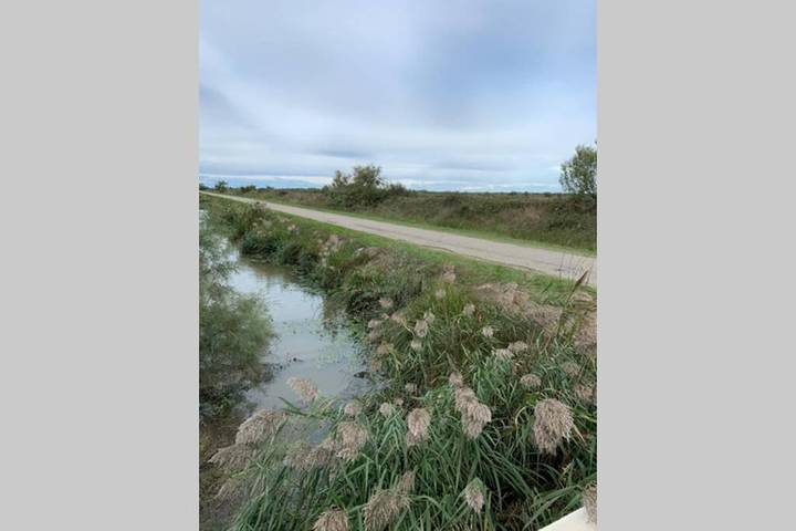 Location de vacances pour 4 personnes, avec vue et jardin dans Salin-de-Giraud - 4