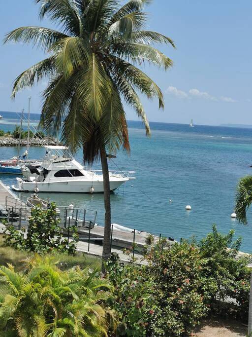 Gîte pour 4 personnes, avec piscine ainsi que jardin et vue dans Port De Saint Francois - 3