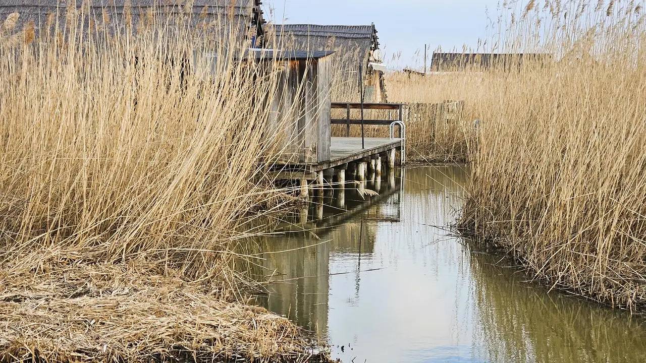 Ferienhaus für 4 Personen (35 m²) in Rust (Burgenland) in Rust (Burgenland), Leithaberg