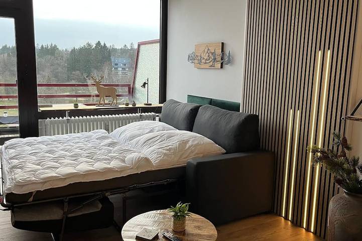 Ganze Wohnung, Ferienwohnung/App. für 3 Gäste mit 34m² in Goslar-Hahnenklee in Hahnenklee, Goslar