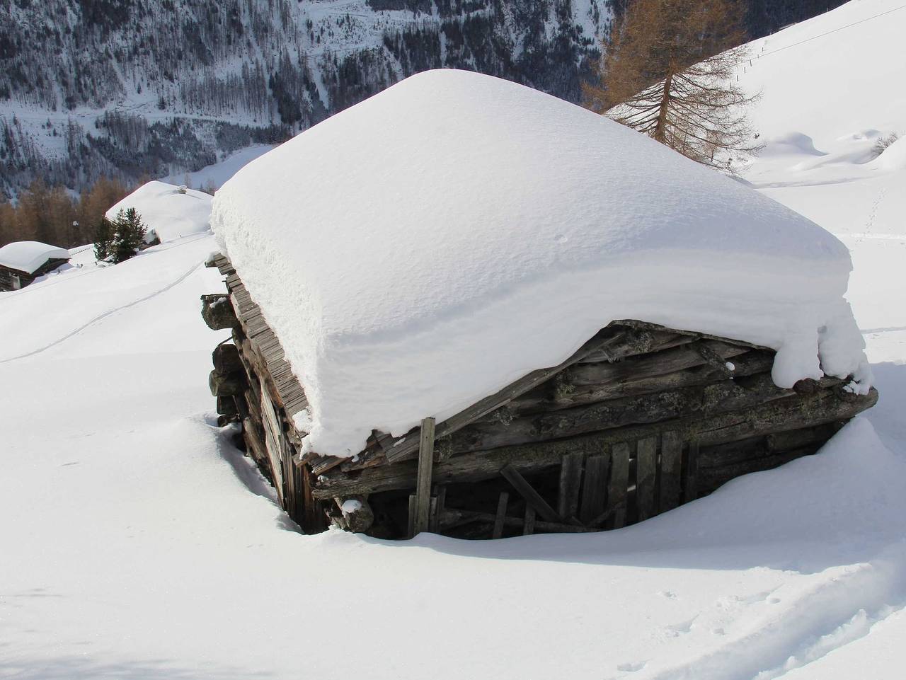 Innerkratzerhof**** 4 Appartements - Ferienwohnung Türkenbund in Prägraten am Großvenediger, Osttirol