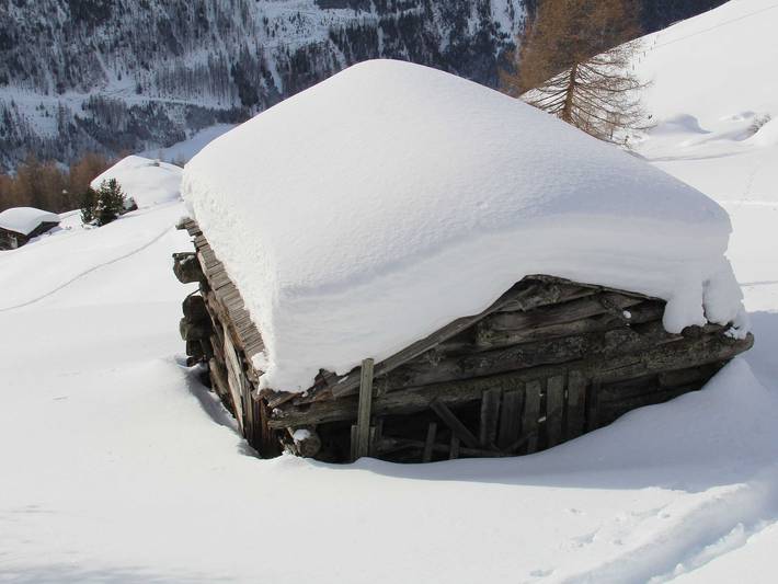 Innerkratzerhof**** 4 Appartements - Ferienwohnung Großvenediger in Hohe Tauern, Prägraten am Großvenediger