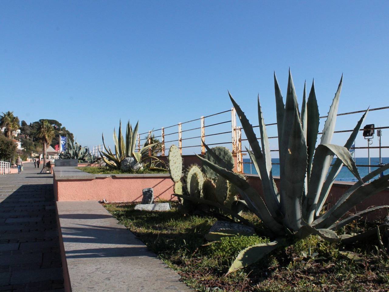 Ganze Wohnung, Ila2303 House Carla in Albisola Capo, Albisola Superiore